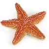 Figurine étoile de mer - Papo