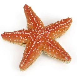 Figurine étoile de mer - Papo