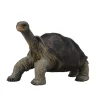 Figurine Tortue géante des Galapagos - Figurines Collecta