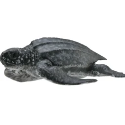 Figurine Tortue Luth - Figurines Collecta