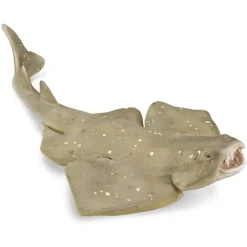 Figurine Animal Marin (M): Requin-Ange - Figurines Collecta