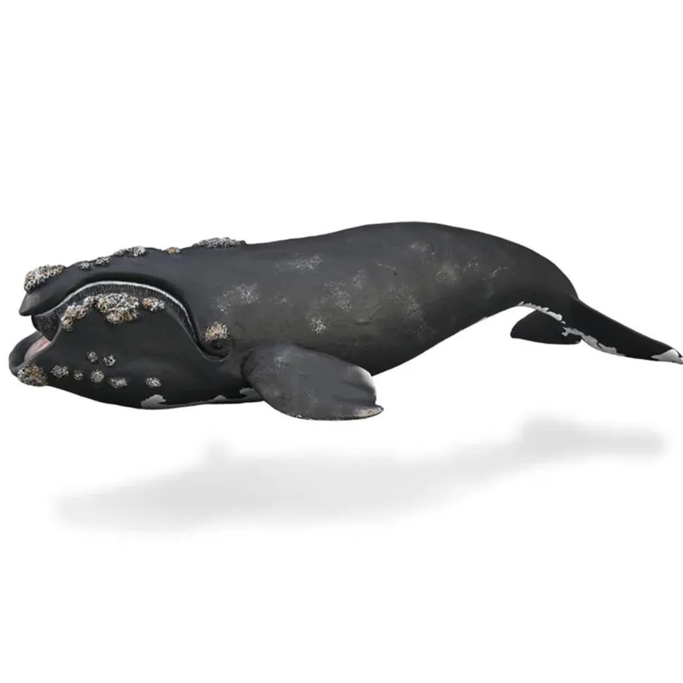 Figurine Animal Marin (XL): Baleine franche - Figurines Collecta