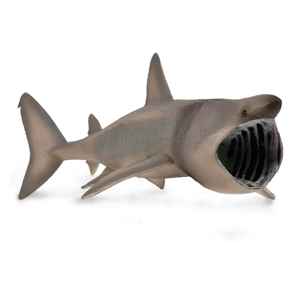 Figurine Animaux Marins (Xl): Requin Pèlerin - Figurines Collecta
