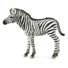Figurine Animaux Sauvages (M): Bébé Zèbre Commun - Figurines Collecta