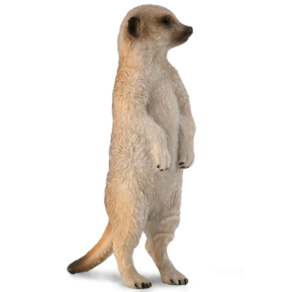 Figurine Animaux Sauvages (S): Suricate - Figurines Collecta