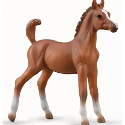 Figurine Cheval (M): Poulain Arabe Marron - Figurines Collecta