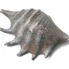 Grand coquillage gris 12 cm - RueDeLaFete