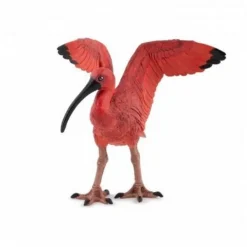 Ibis Rouge - Papo
