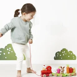 Jeu à tirer : Train de la Ferme - Janod