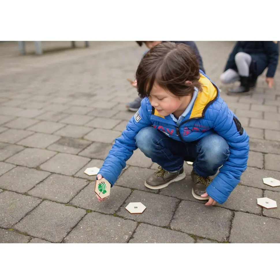 Jeu de recherche active : Insectes - BS Toys