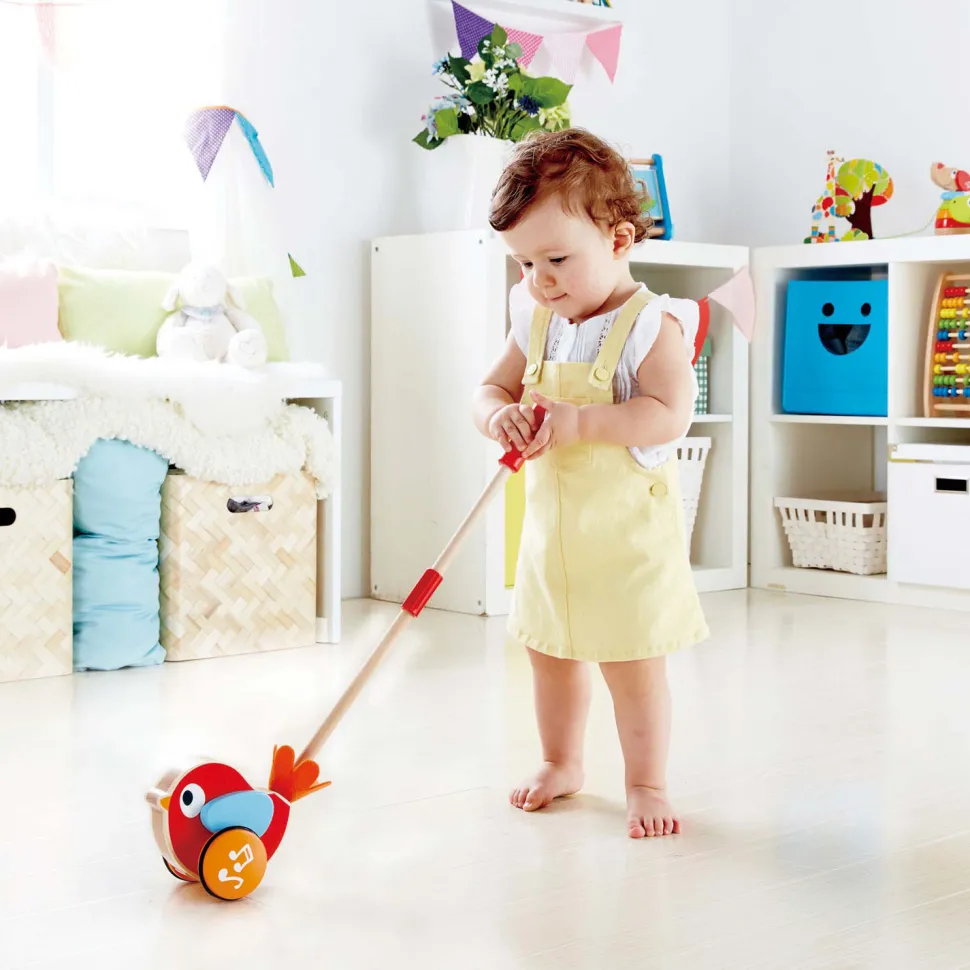Jouet à pousser : Lilly, l'oiseau - Hape