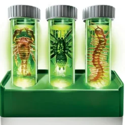 KidzLabs: 'CREEPY CRAWLY' - LABORATOIRE - 4M