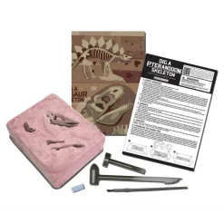 KidzLabs: DETERRE-TON-DINO (Pteranodon) - 4M
