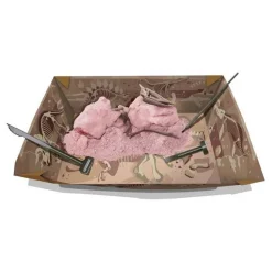 KidzLabs: DETERRE-TON-DINO (Pteranodon) - 4M