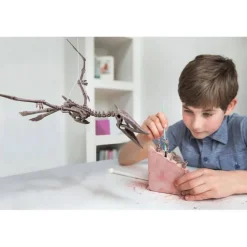 KidzLabs: DETERRE-TON-DINO (Pteranodon) - 4M