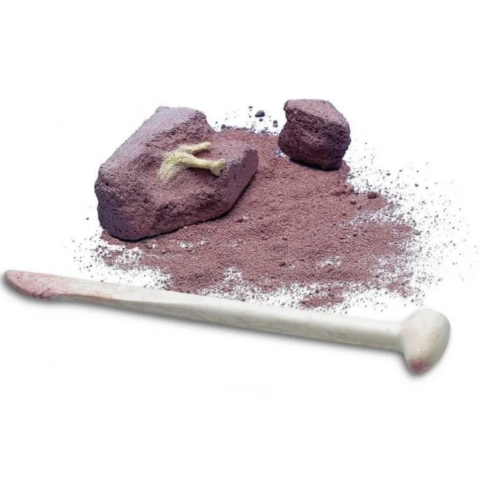 KidzLabs SCIENCE CARD: DETERRE-TON-DINOSAURE - 4M