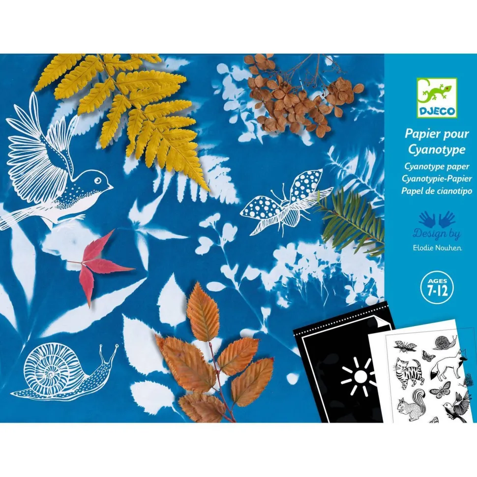 Kit cyanotype : Starter kit - Djeco