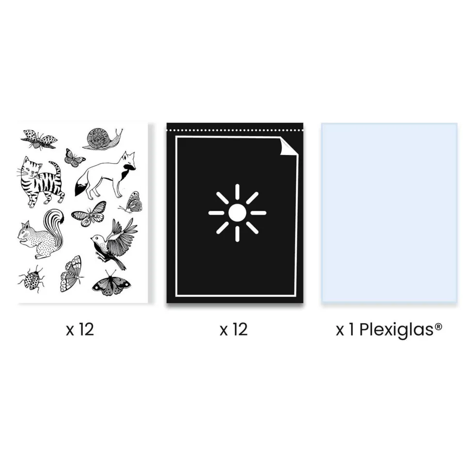 Kit cyanotype : Starter kit - Djeco