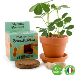 Kit de jardinage : Graines de Cacahuètes avec pot 8 cm - Radis et Capucine