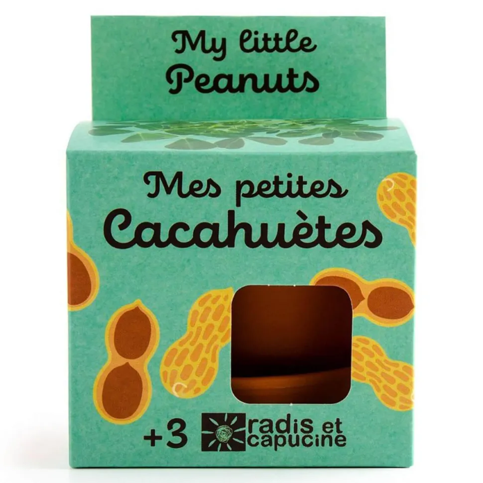 Kit de jardinage : Graines de Cacahuètes avec pot 8 cm - Radis et Capucine