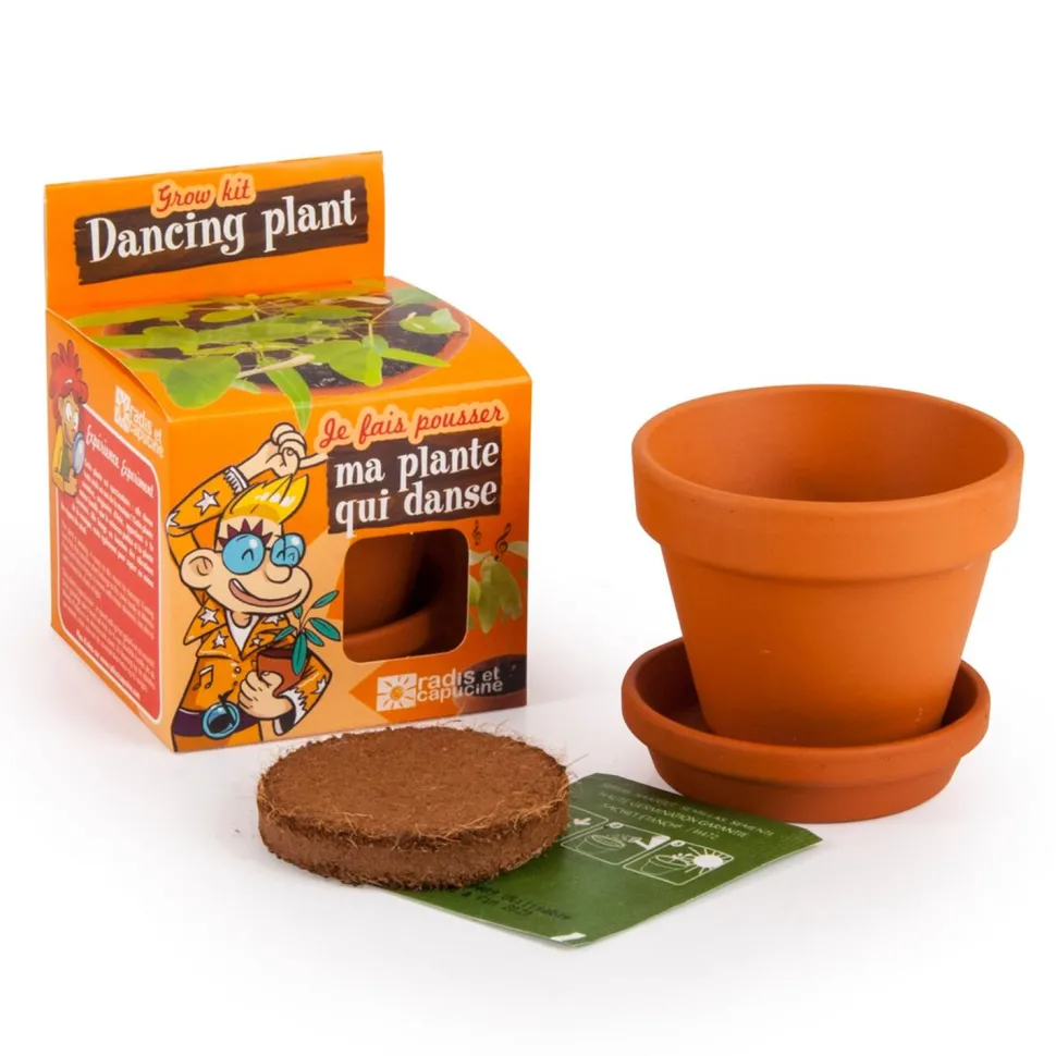 Kit de jardinage : Graines de plante qui danse - A faire pousser - Radis et Capucine