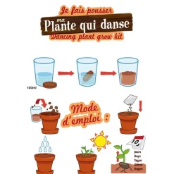 Kit de jardinage : Graines de plante qui danse - A faire pousser - Radis et Capucine