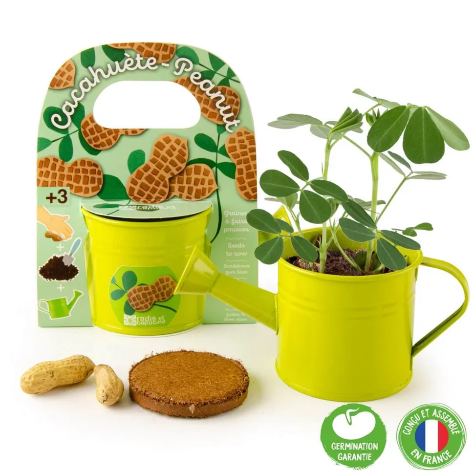 Kit de jardinage : Mini arrosoir vert et ses graines de cacahuète - Radis et Capucine