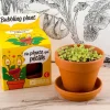 Kit de jardinage : Plante qui pétille avec pot 8 cm - Radis et Capucine