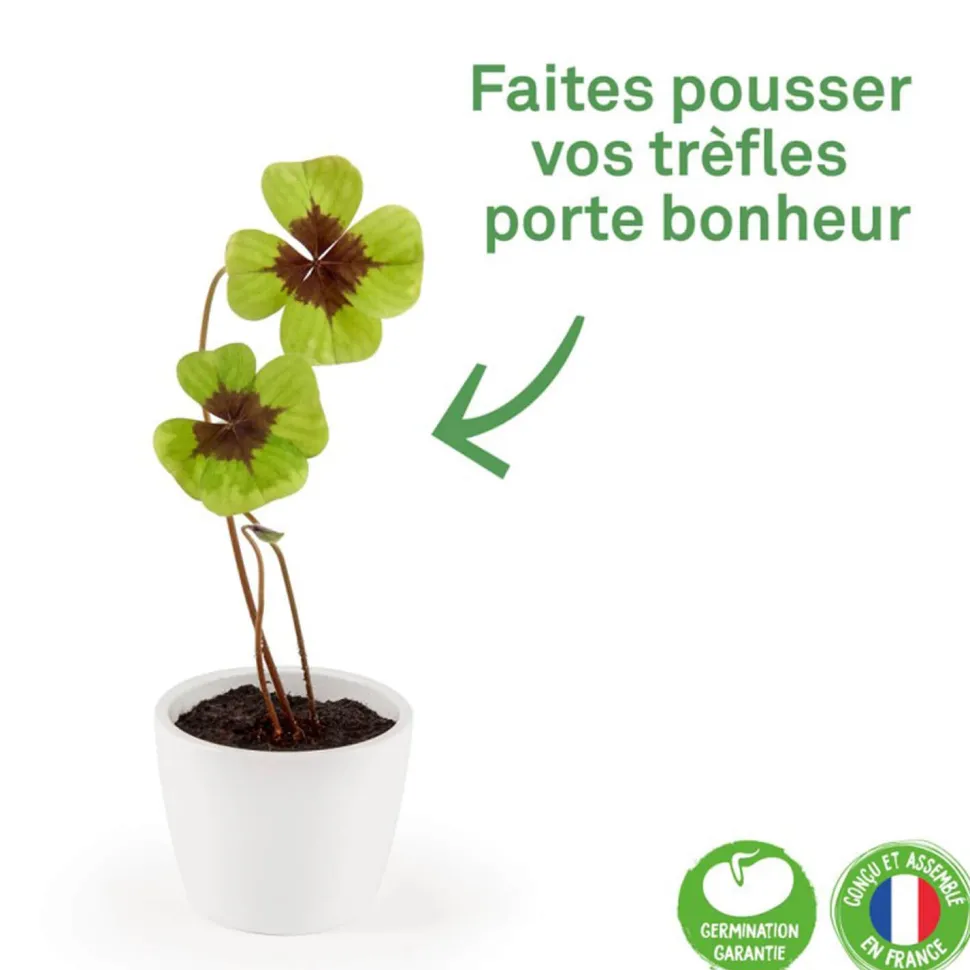 Kit de jardinage : Pot céramique Trèfle à 4 feuilles - Radis et Capucine