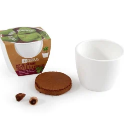 Kit de jardinage : Pot céramique Trèfle à 4 feuilles - Radis et Capucine