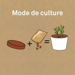 Kit de jardinage : Pot céramique Trèfle à 4 feuilles - Radis et Capucine