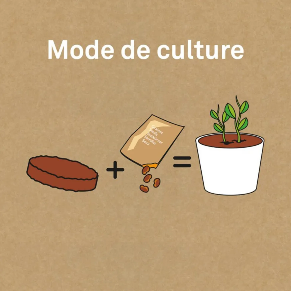 Kit de jardinage : Pot céramique Trèfle à 4 feuilles - Radis et Capucine