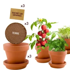 Kit de jardinage : Trio 3 pots plantes gourmandes bio - Radis et Capucine
