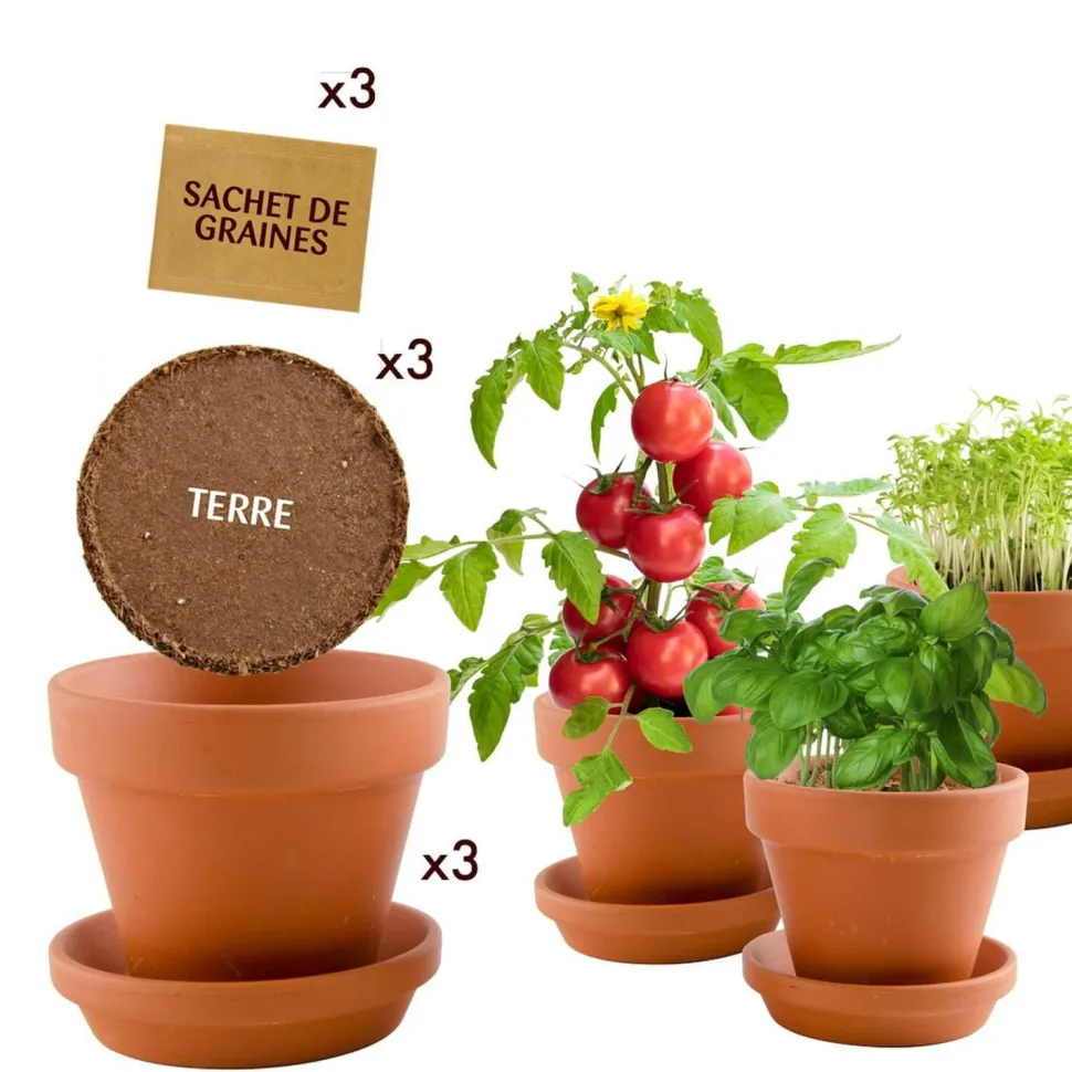 Kit de jardinage : Trio 3 pots plantes gourmandes bio - Radis et Capucine