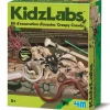 Kit d'excavation d'Insectes Kidzlabs - 4M