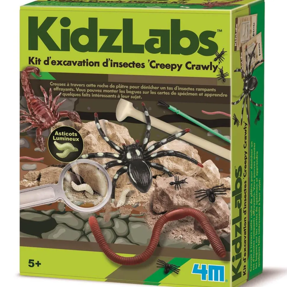 Kit d'excavation d'Insectes Kidzlabs - 4M