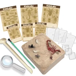 Kit d'excavation d'Insectes Kidzlabs - 4M