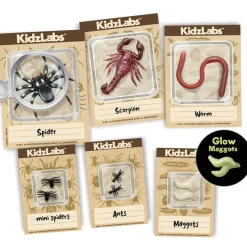 Kit d'excavation d'Insectes Kidzlabs - 4M