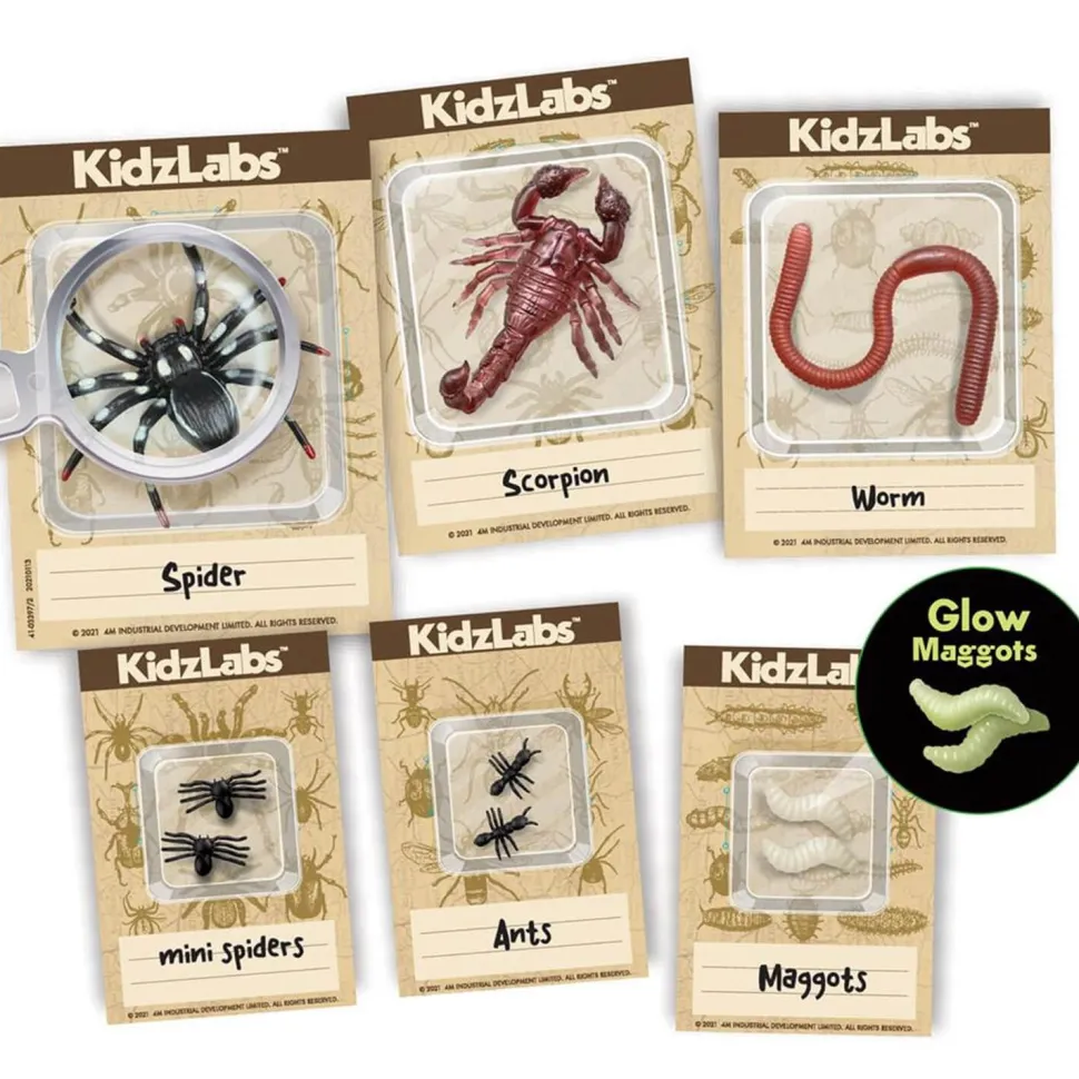 Kit d'excavation d'Insectes Kidzlabs - 4M
