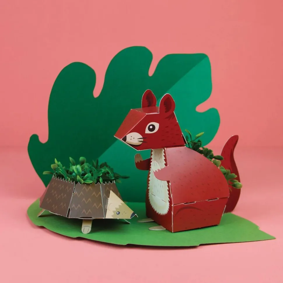Kit jardinage : Animaux Pop Up : Ecureuil et Hérisson - Radis et Capucine