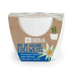 Kit jardinage : céramique blanc Edelweiss - Radis et Capucine