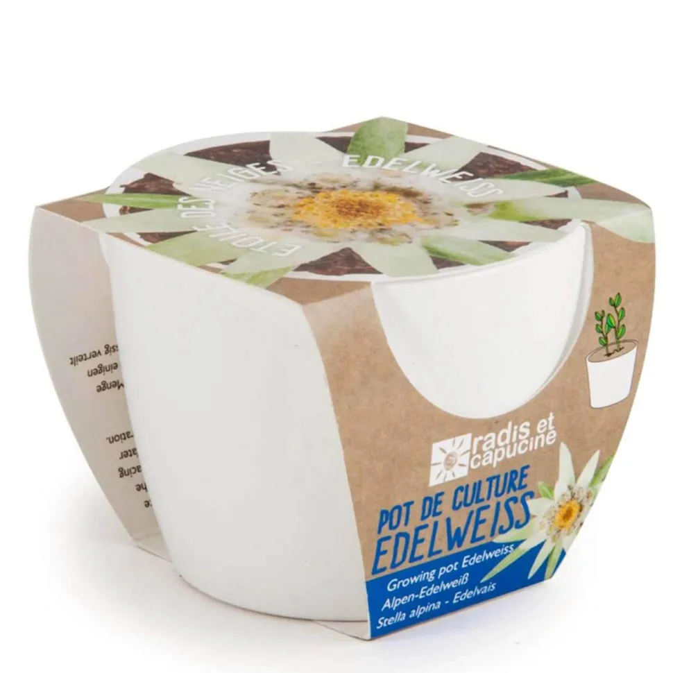 Kit jardinage : céramique blanc Edelweiss - Radis et Capucine
