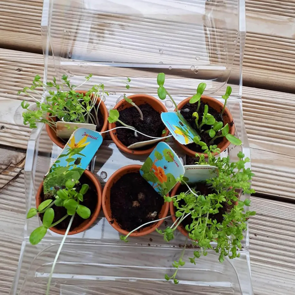 Kit Mini Serre de jardinage : Mon premier jardin à semer - Radis et Capucine