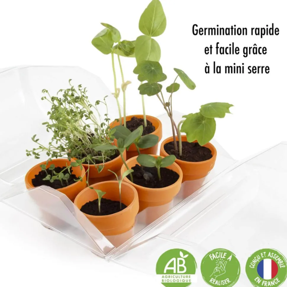 Kit Mini Serre de jardinage : Mon premier jardin à semer - Radis et Capucine