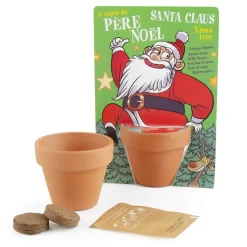Kit Père Noël et son épicéa à semer - Radis et Capucine