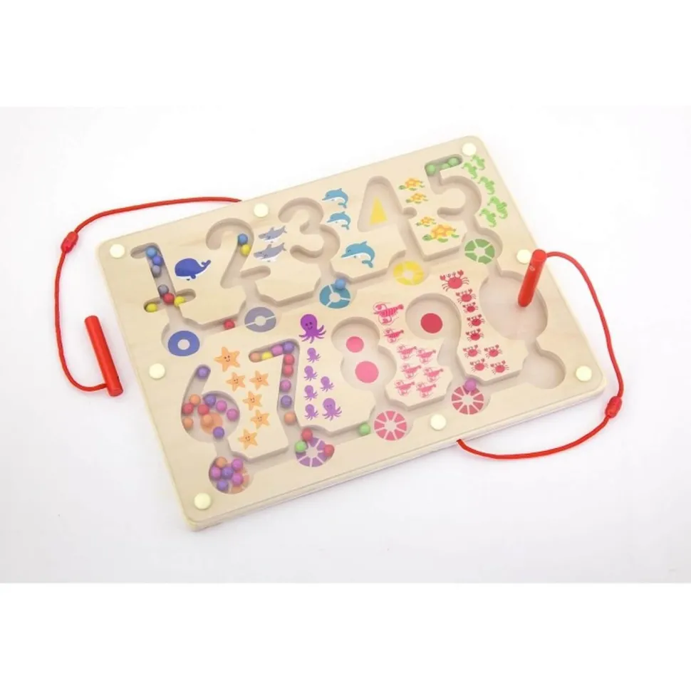 Labyrinthe Magnétique - Chiffres FSC - Sapin Malin