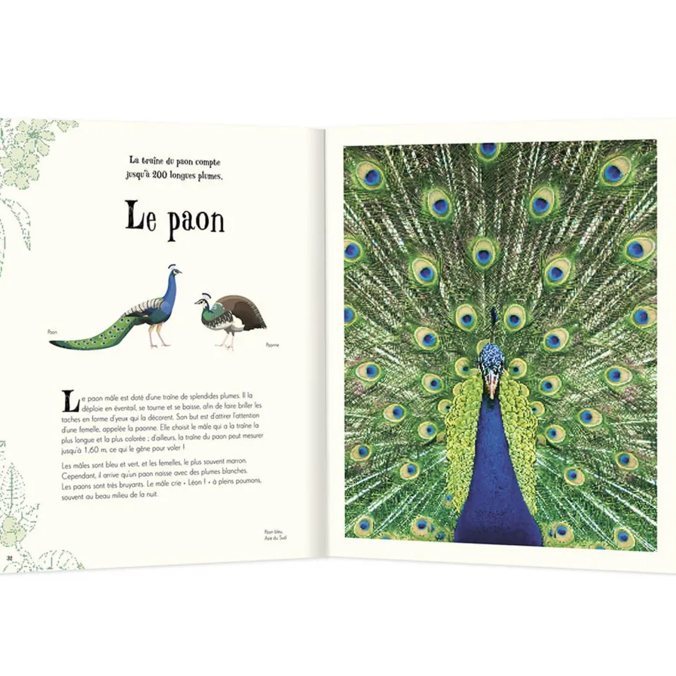 L'ANTHOLOGIE ILLUSTREE DES ANIMAUX FASCINANTS - Editions Auzou