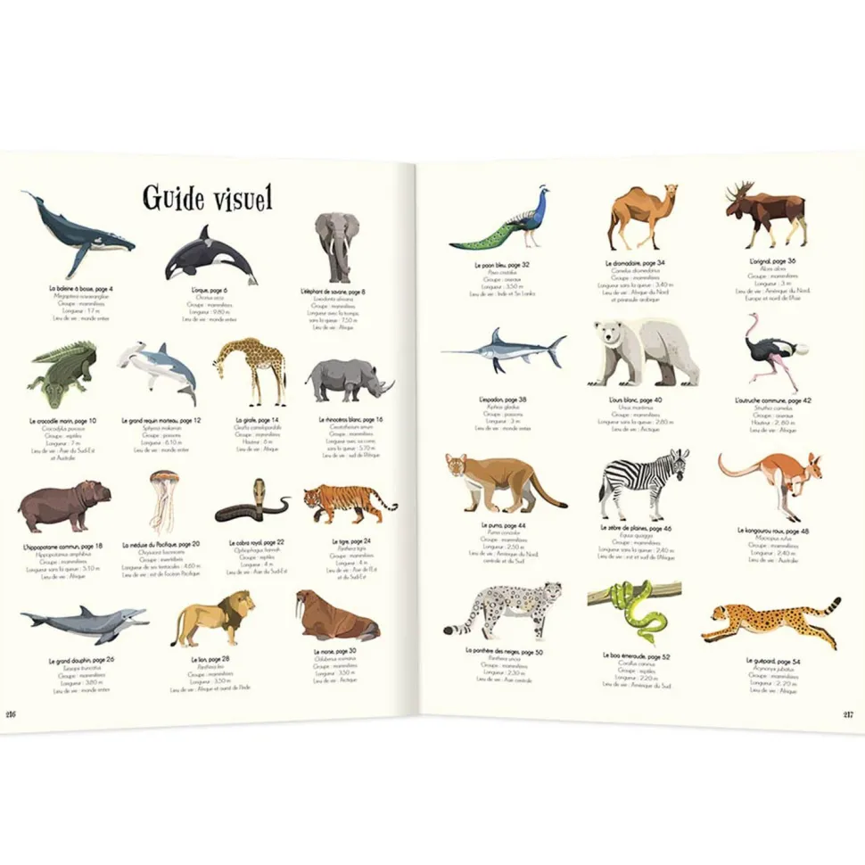 L'ANTHOLOGIE ILLUSTREE DES ANIMAUX FASCINANTS - Editions Auzou
