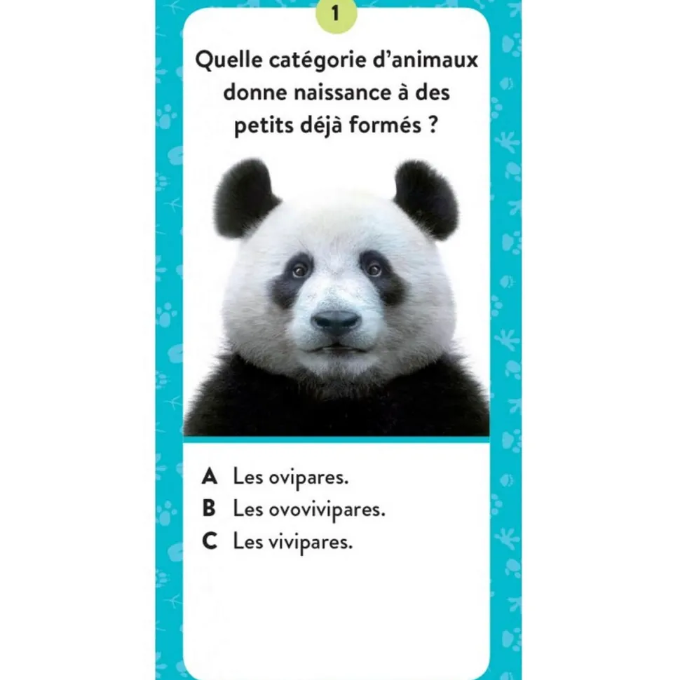 Le coffret méga atlas des Animaux : Atlas, cartes et animaux 3D - Sassi