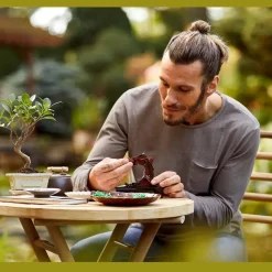 Lego Créator : Bonsaï - LEGO ®